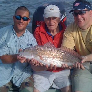 Meet your Posher, Ross